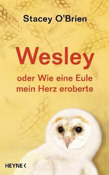 Wesley: oder Wie eine Eule mein Herz eroberte