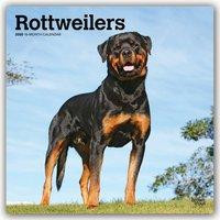Rottweilers 2020 Square