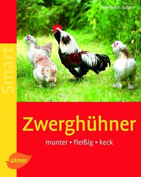 Zwerghühner: Munter - fleißig - keck