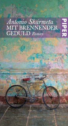 Mit brennender Geduld: Roman (Piper Taschenbuch, Band 25385)