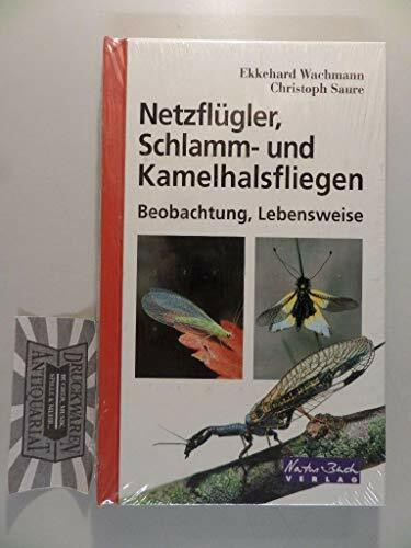 Netzflügler, Schlammfliegen und Kamelhalsfliegen