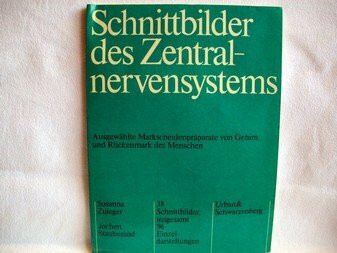 Schnittbilder des Zentralnervensystems