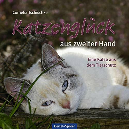 Katzenglück aus zweiter Hand: Eine Katze aus dem Tierschutz