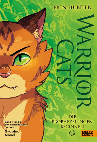 Warrior Cats - Die Prophezeiungen beginnen: Graphic Novel 1 (Warrior Cats - Graphic Novels, 1)