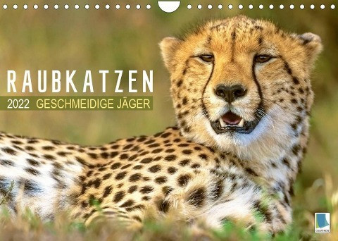 Raubkatzen: Geschmeidige Jäger (Wandkalender 2022 DIN A4 quer)