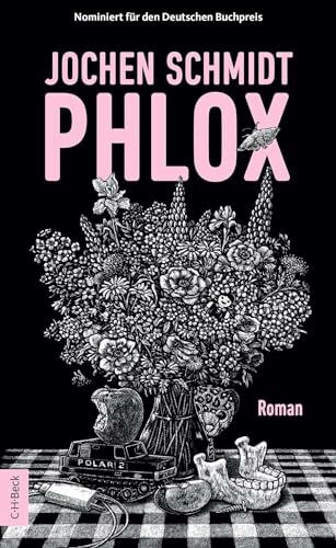 Phlox: Roman