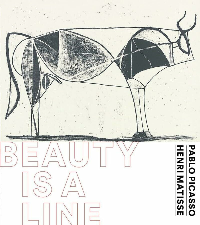Waanders Uitgevers Beauty Is A Line, Von Cy Twombly Bis Gerhard Richter