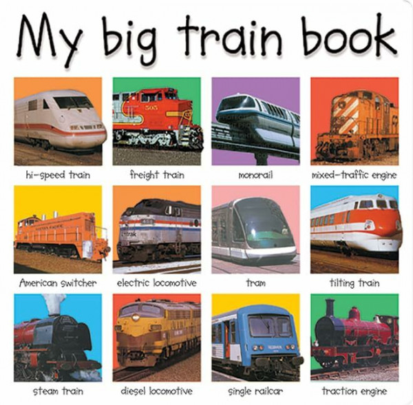 My Big Train Book