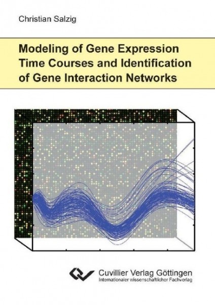 Modeling of Gene Expression Time Courses and Identification of Gene Interaction Networks