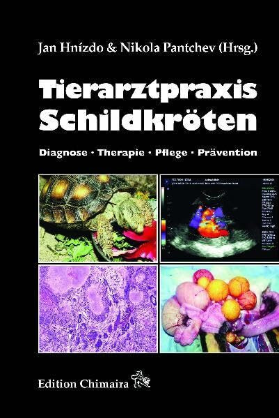 Tierarztpraxis Schildkröten: Diagnose · Therapie · Pflege · Prävention