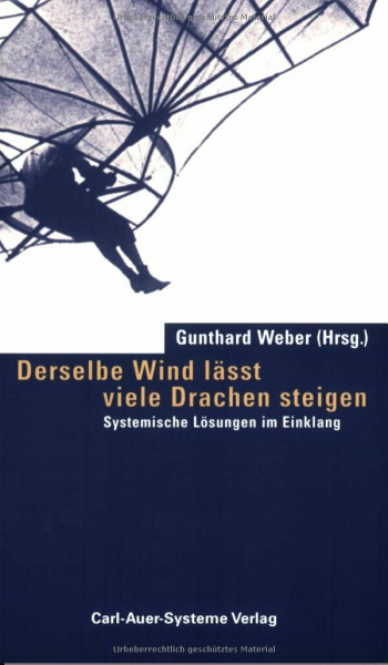 Derselbe Wind lässt viele Drachen steigen: Systemische Lösungen im Einklang