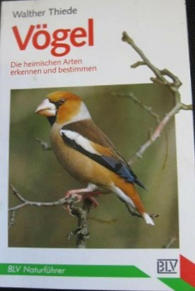 Vögel. Die heimischen Arten erkennen und bestimmen