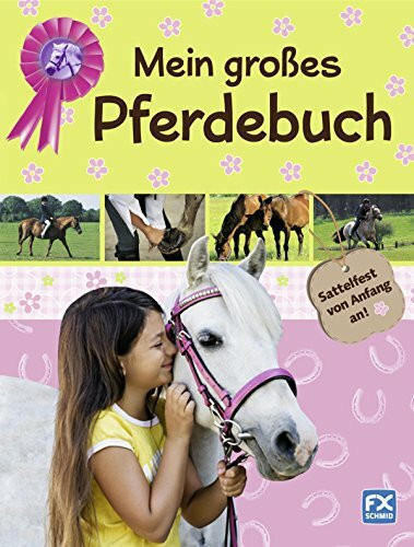 Mein großes Pferdebuch: Sattelfest von Anfang an