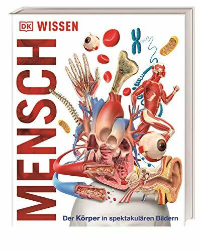 DK Wissen. Mensch: Der Körper in spektakulären Bildern. Für Kinder ab 8 Jahren