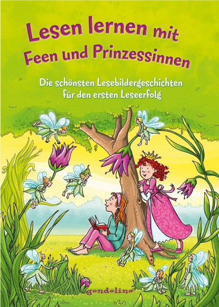Lesen lernen mit Feen und Prinzessinnen: Die schönsten Lesebildergeschichten für den ersten Leseerfolg - Erstlesebuch für Kinder ab 5 Jahren