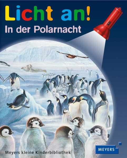In der Polarnacht: Licht an!