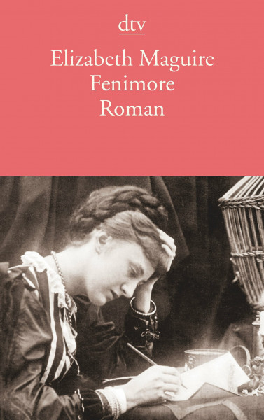 Fenimore: Roman (dtv Literatur)
