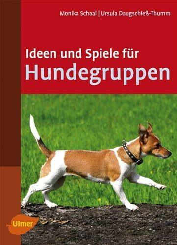Ideen und Spiele für Hundegruppen: Hundekurse sinnvoll gestalten