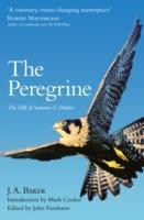 The Peregrine