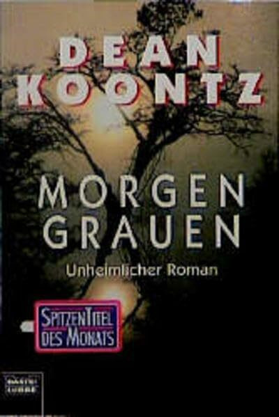 Morgengrauen: Unheimlicher Roman (Allgemeine Reihe. Bastei Lübbe Taschenbücher)