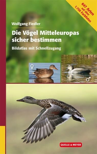 Die Vögel Mitteleuropas sicher bestimmen: Bildatlas mit Schnellzugang Die Vögel Mitteleuropas sicher bestimmen: Bildatlas mit Schnellzugang