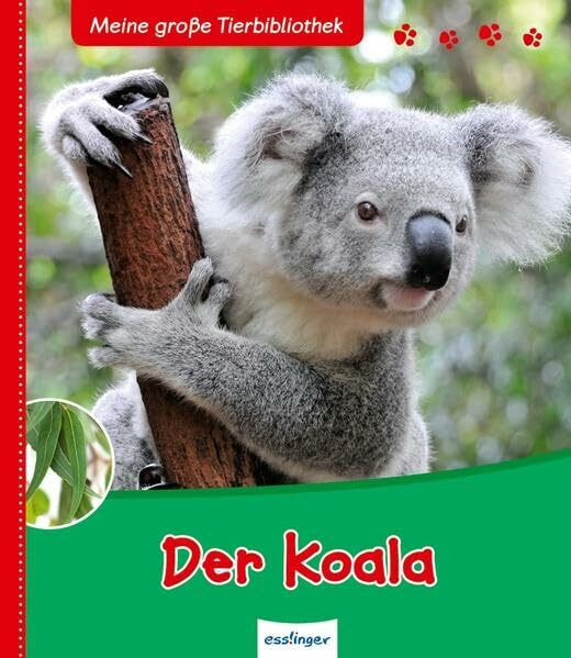 Der Koala: Meine große Tierbibliothek