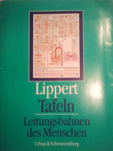 Lippert Tafeln. Leitungsbahnen des Menschen