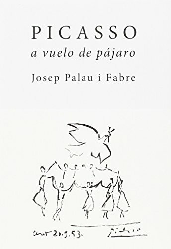 Picasso a vuelo de pájaro