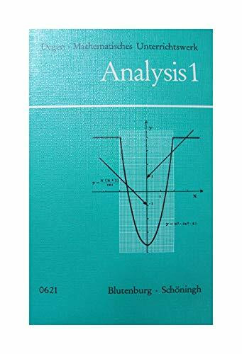 Analysis 1. Ein Lehr- und Arbeitsbuch.