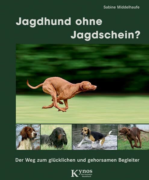 Jagdhund ohne Jagdschein?: Der Weg zum glücklichen und gehorsamen Begleiter (Das besondere Hundebuch)