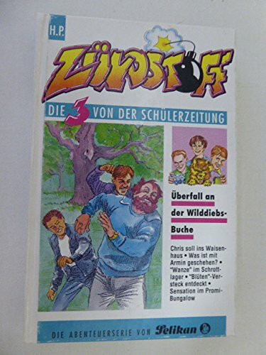 Zündstoff - Die 3 von der Schülerzeitung / Überfall an der Wilddiebsbuche