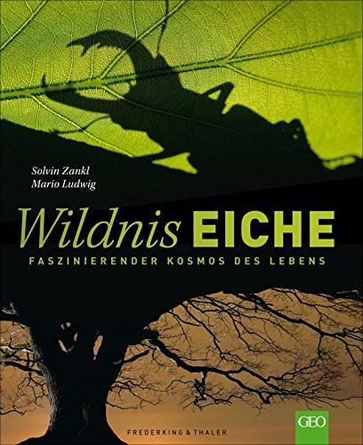 Wildnis Eiche: Faszinierender Kosmos des Lebens