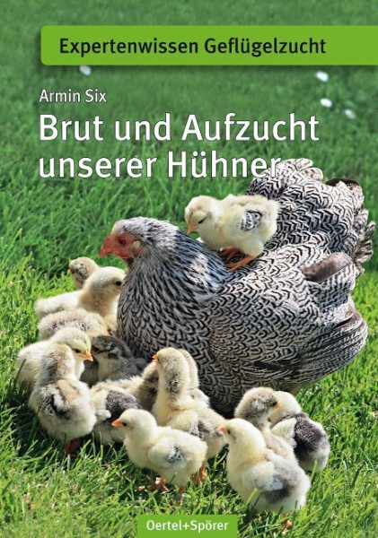 Brut und Aufzucht unserer Hühner