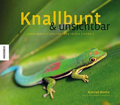 Knallbunt und unsichtbar: Farbenpracht und Tarnung in der Tierwelt