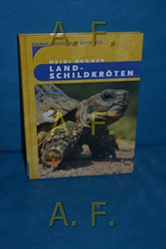 Landschildkröten