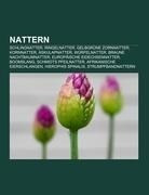 Nattern