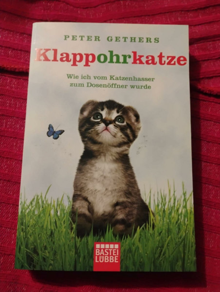 Klappohrkatze: Wie ich vom Katzenhasser zum Dosenöffner wurde