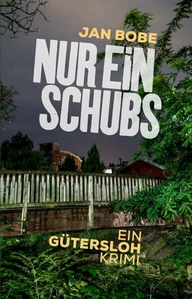 Nur ein Schubs: Ein Gütersloh-Krimi
