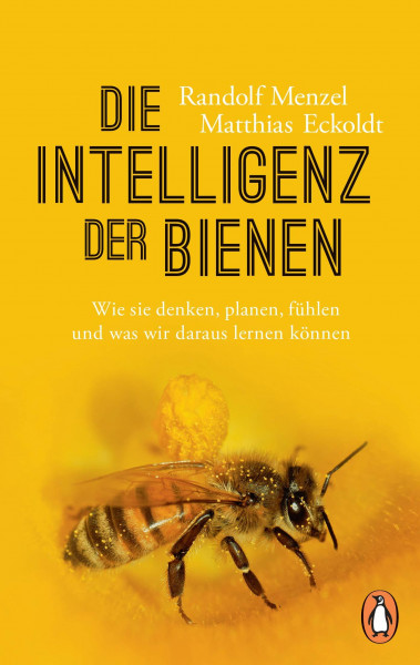 Die Intelligenz der Bienen: Wie sie denken, planen, fühlen und was wir daraus lernen können