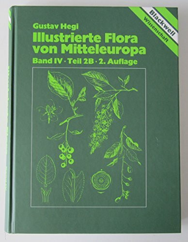 Illustrierte Flora von Mitteleuropa. Pteridophyta - Spermatophyta: Illustrierte Flora von Mitteleuropa, 7 Bde. in Tl.-Bdn. u. Lieferungen, Bd.4/2B, Spermatophyta: Angiospermae: Dicotyledones 2 (3)