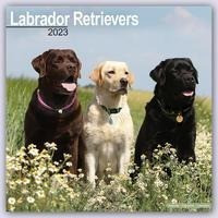 Labrador Retriever 2023 - 16-Monatskalender