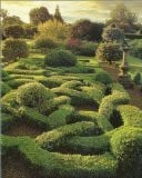Der Garten. Quelle neuer Energie und Inspiration