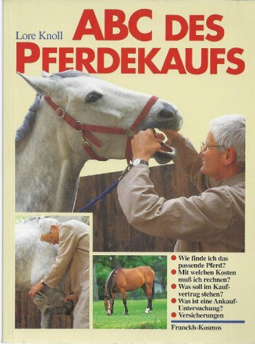 ABC des Pferdekaufs