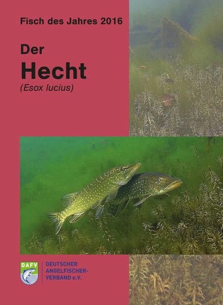 Der Hecht (Esox lucius): Fisch des Jahres 2016
