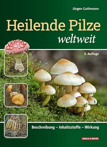 Heilende Pilze weltweit: Beschreibung – Inhaltsstoffe – Wirkung