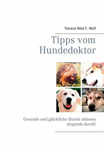 Tipps vom Hundedoktor: Gesunde und glückliche Hunde müssen nirgends durch!