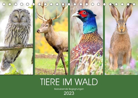 Tiere im Wald. Bezaubernde Begegnungen (Tischkalender 2023 DIN A5 quer)