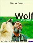 Wolf unter Wölfen