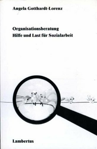 Organisationsberatung. Hilfe und Last für Sozialarbeit