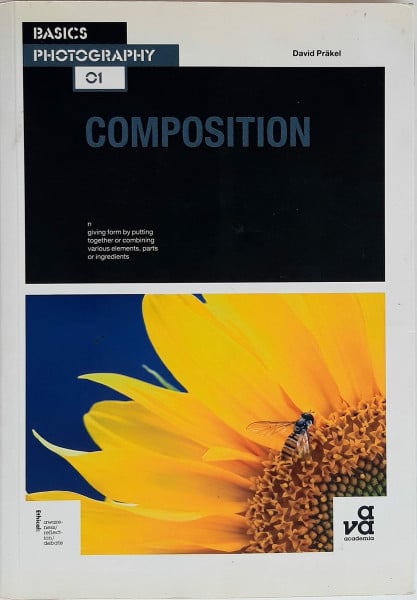 Composition (Basics Photography)